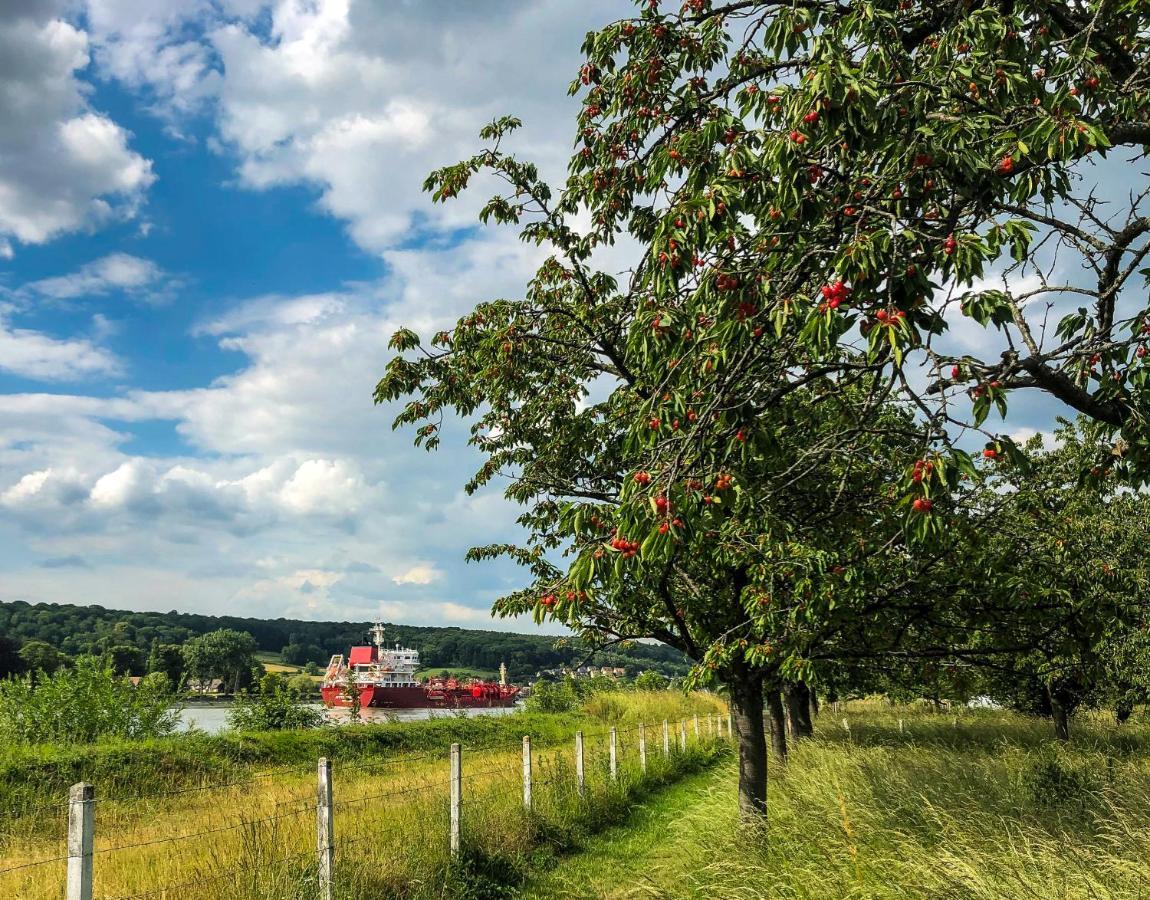 Maison Normande Au Bord De Seine, Le Verger De Pacome Anneville-Ambourville Zewnętrze zdjęcie