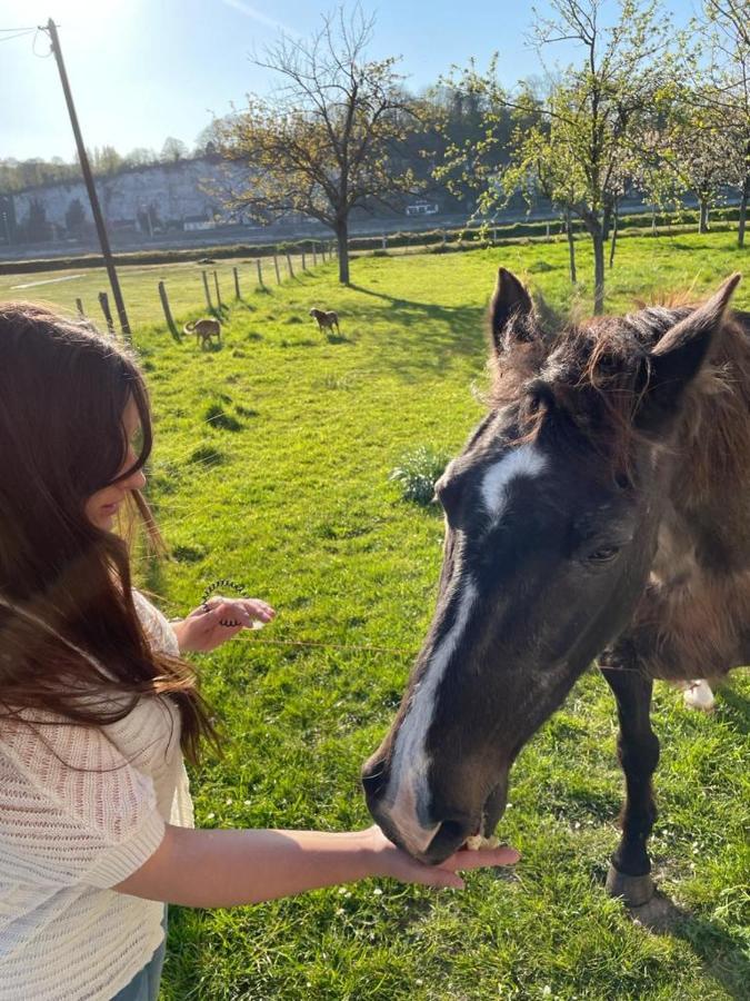 Maison Normande Au Bord De Seine, Le Verger De Pacome Anneville-Ambourville Zewnętrze zdjęcie
